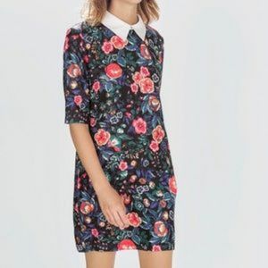 Zara TRF NWT collared floral minidress